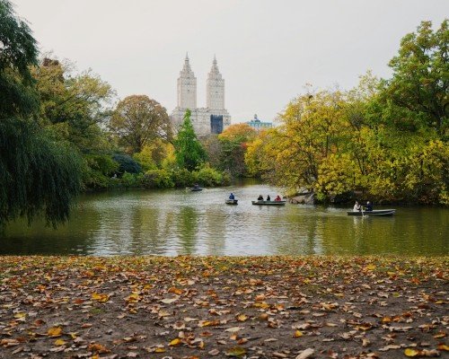 A lake in the Central park, New York.